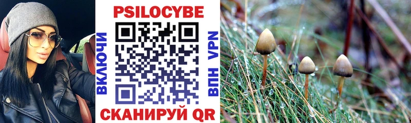 Псилоцибиновые грибы Magic Shrooms  блэк спрут ССЫЛКА  Клинцы 
